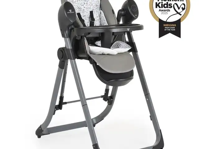 Cangaroo nirvana 2in1 swing & high chair, Επαρχία Λεμεσού — Λεμεσός - Άγιος Αντώνιος