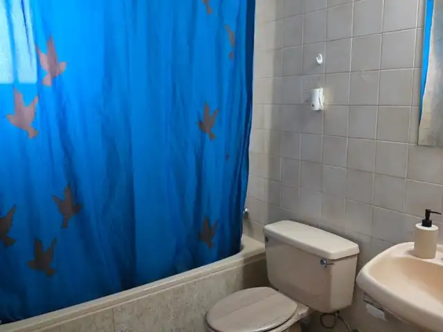 1-bedroom apartment to rent, Επαρχία Λευκωσίας — Στρόβολος - Ακρόπολη - 5
