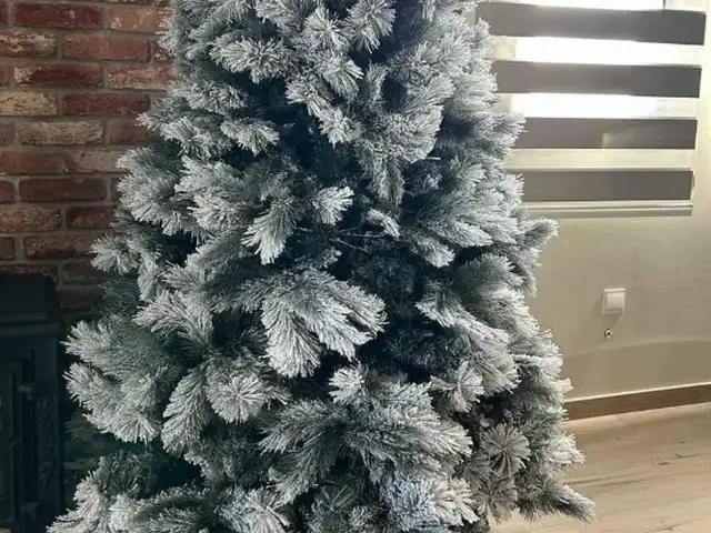 Christmas tree, Επαρχία Λευκωσίας — Νήσου