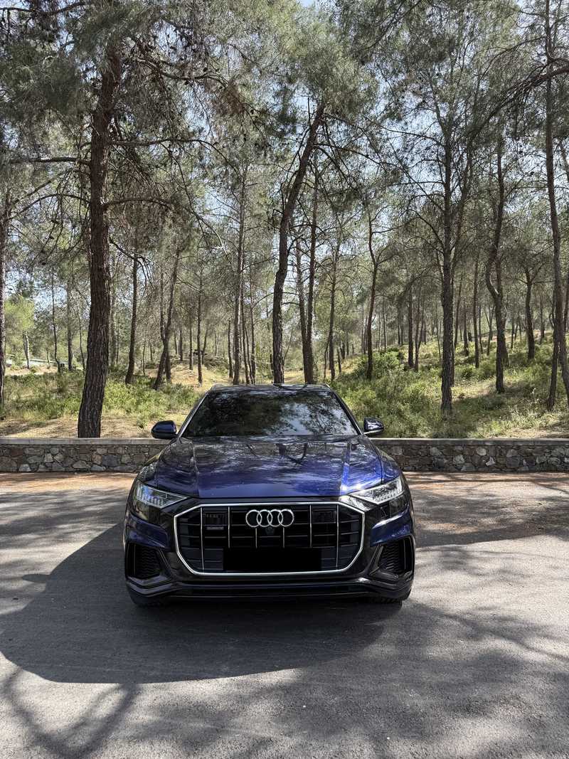 2022 Audi Q8 3,0L 2022 Cyprus