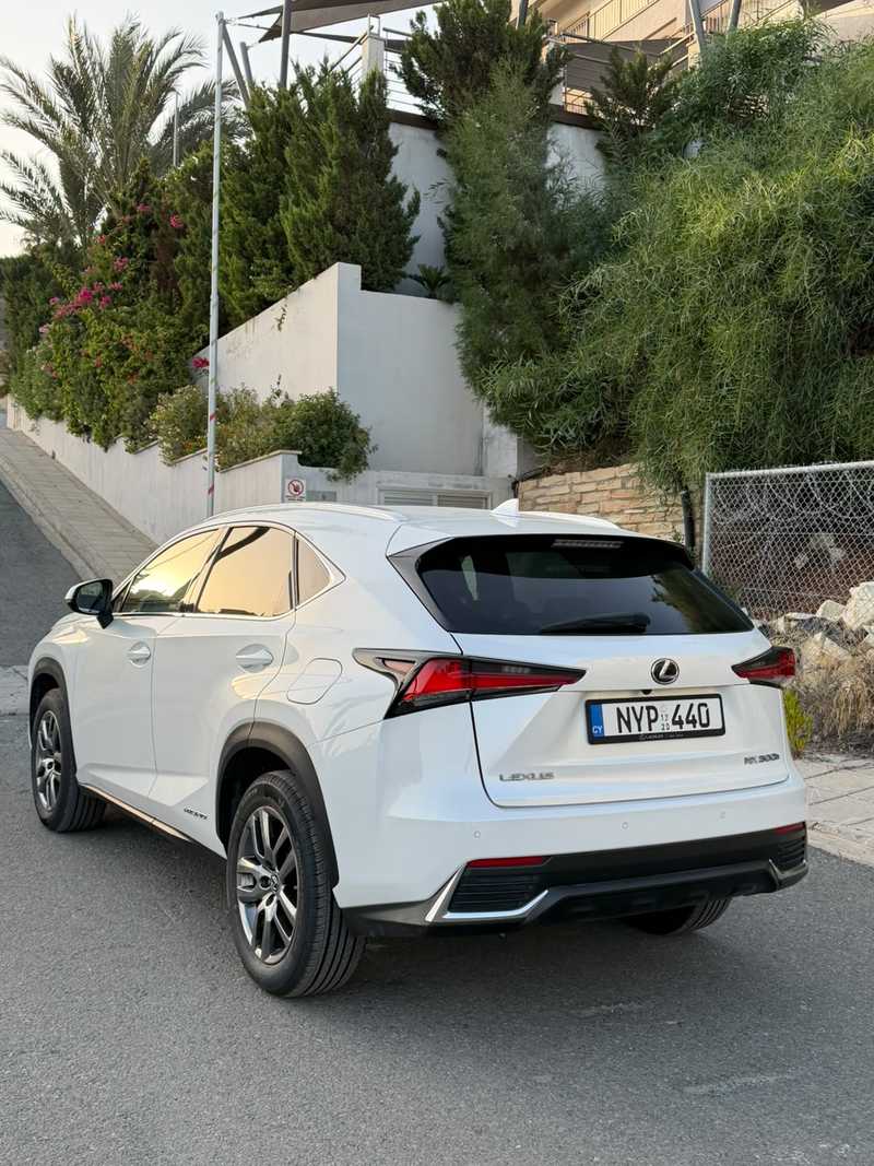 2020 Lexus NX 2,5L 2020 Cyprus