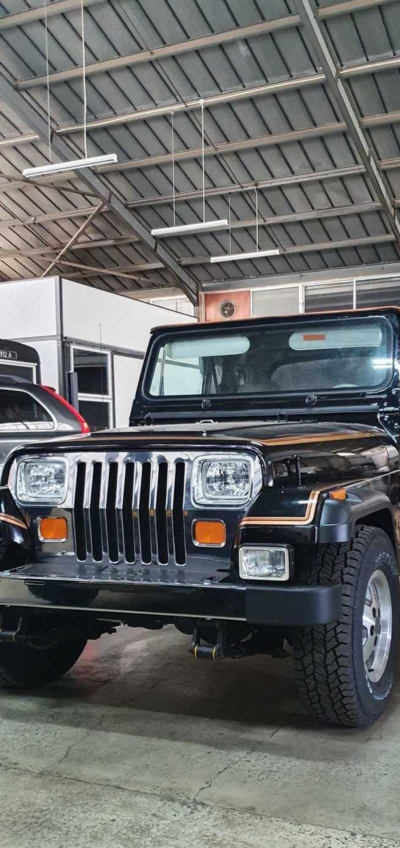 1988 Jeep Wrangler 4,2L 1988 Cyprus