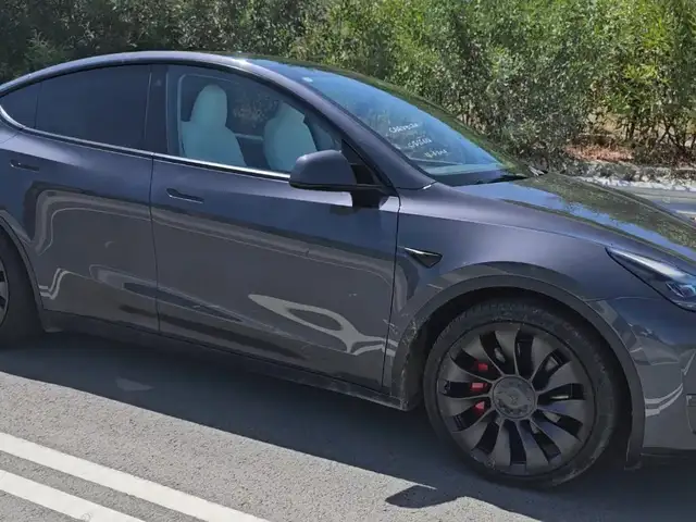Tesla Model Y Performance