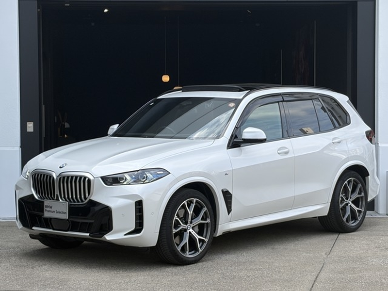 BMW X5 3,0L 2024