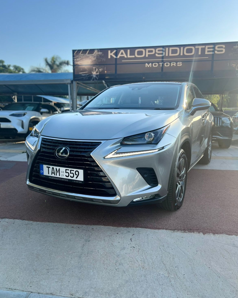 2021 Lexus NX 2,5L 2021 Cyprus