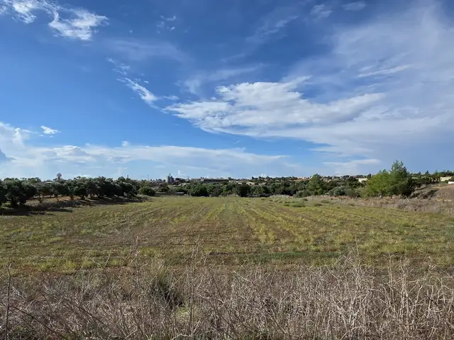 Agricultural Field 6423 m², Επαρχία Λάρνακας — Ξυλοτύμπου