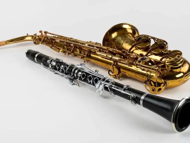 Clarinet and saxophone lessons μαθήματα κλαρινέτου, Nicosia — Nicosia - Trypiotis