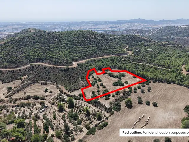 Agricultural Field 9031 m², Larnaca — Kofinou