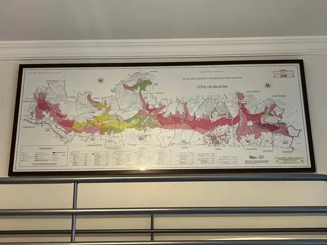 Framed burgundy vineyard maps, Nicosia — Aglantzia