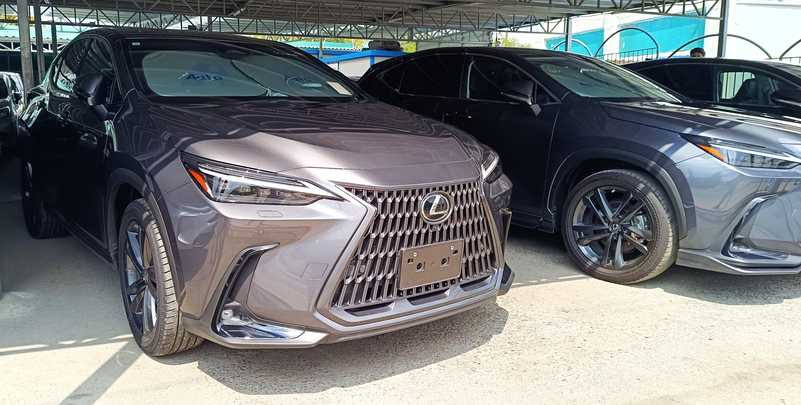 Lexus NX 2,5L 2024