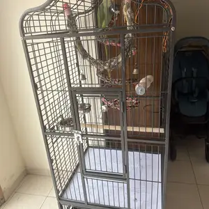 Cage for big parrots, Επαρχία Λεμεσού — Γερμασόγεια Τουριστική Περιοχή