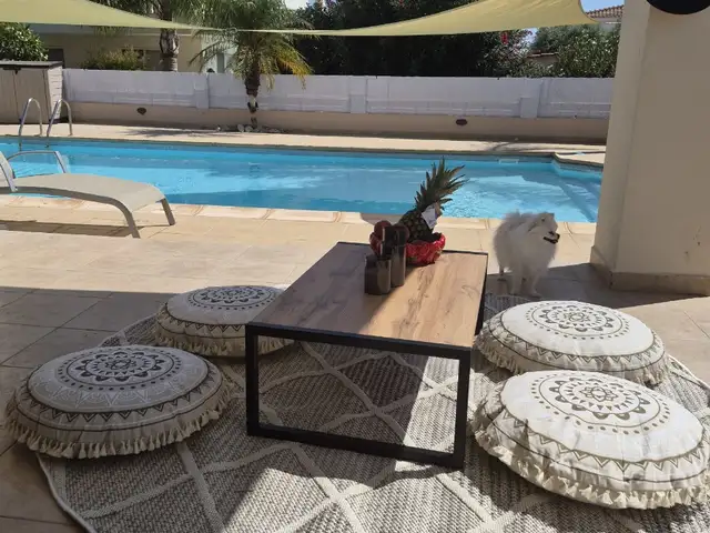 Coffe table, Επαρχία Πάφου — Αναρίτα