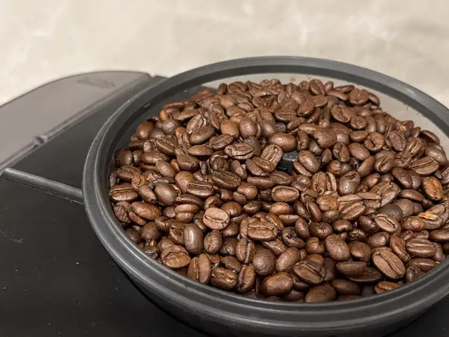 Bosch bean to cup, Nicosia — Egkomi - Makedonitissa