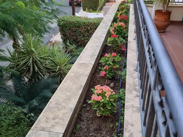 Gardening services,κηπουρικές εργασίες, Limassol — Moniatis
