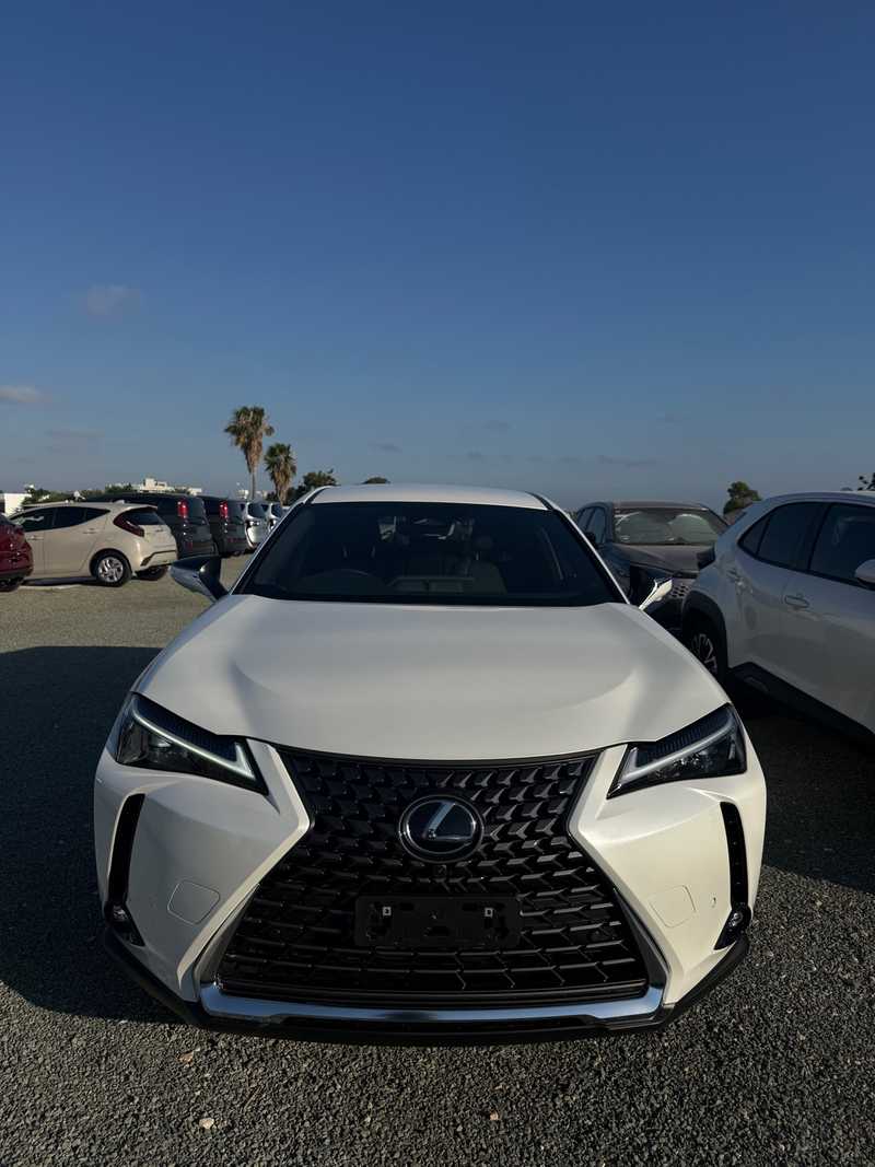 2025 Lexus UX 2,0L 2025 Cyprus