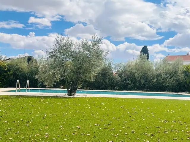  5-bedroom detached house to rent, Επαρχία Λευκωσίας — Στρόβολος - Δασούπολη - 14