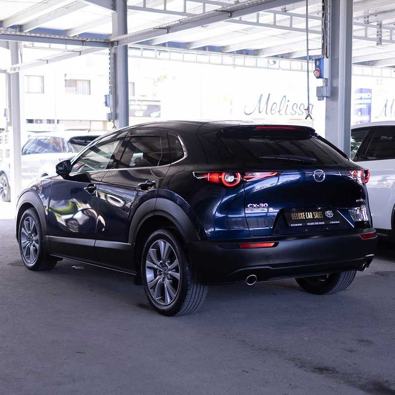 2021 Mazda CX-30 2,0L 2021 Cyprus