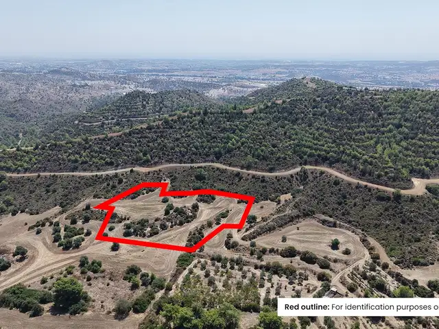 Agricultural Field 8362 m², Larnaca — Kofinou