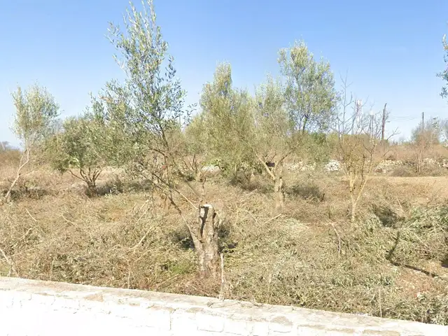 Residential Plot 1136 m², Επαρχία Πάφου — Κάθικας