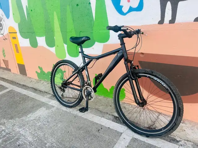 Hybrid mountain city bicycle large working bike, Nicosia — Aglantzia