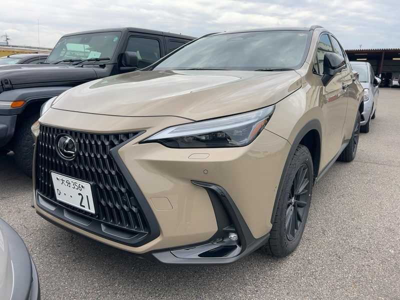 Lexus NX 2,5L 2025