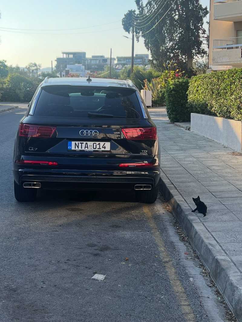 2016 Audi Q7 3,0L 2016 Cyprus