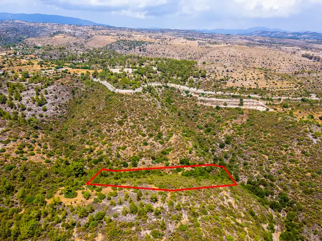 (Share) Agricultural Field 9700 m², Limassol — Agios Therapon