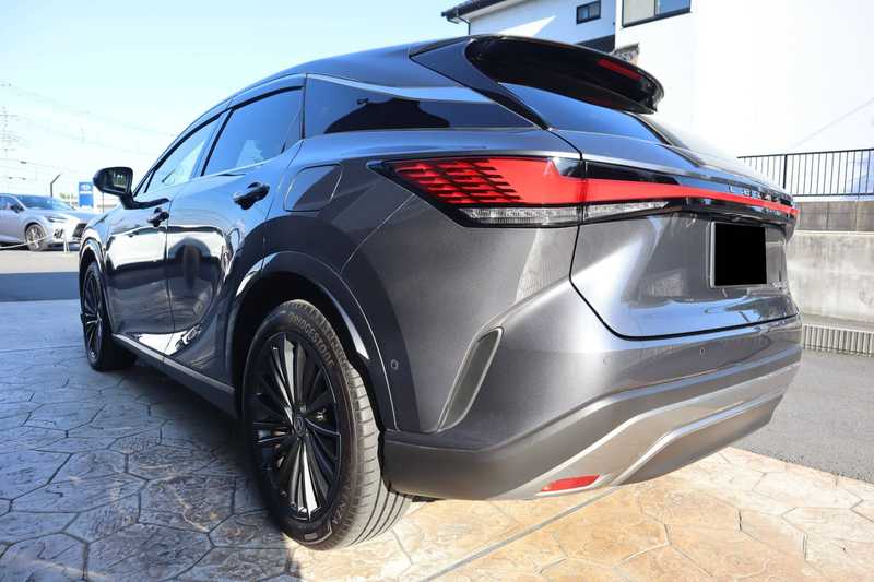 2024 Lexus RX 2,5L 2024 Cyprus