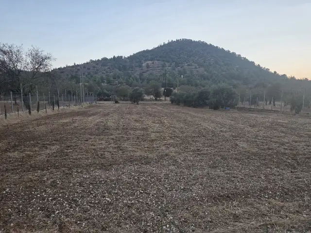 Agricultural Field 2000 m², Nicosia — Klirou