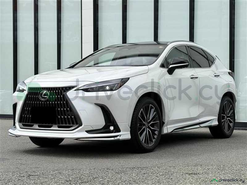 2024 Lexus NX 2,5L 2024 Cyprus