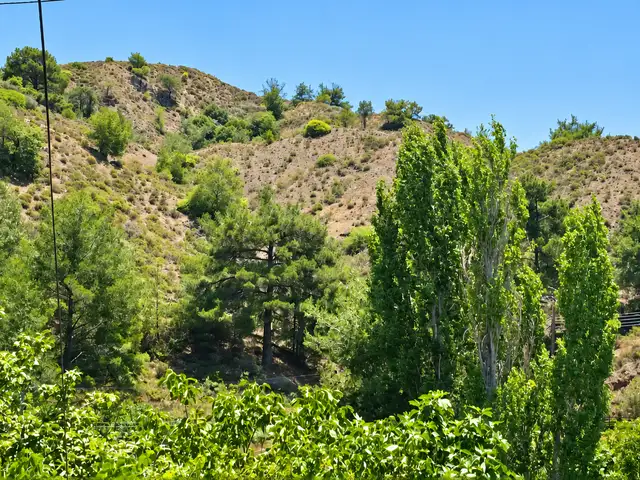 Residential Field 8231 m², Limassol — Kato Platres