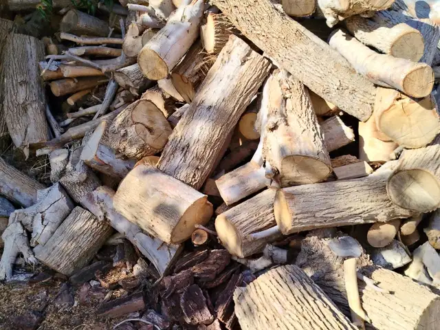 Best firewoods, Paphos — Chlorakas