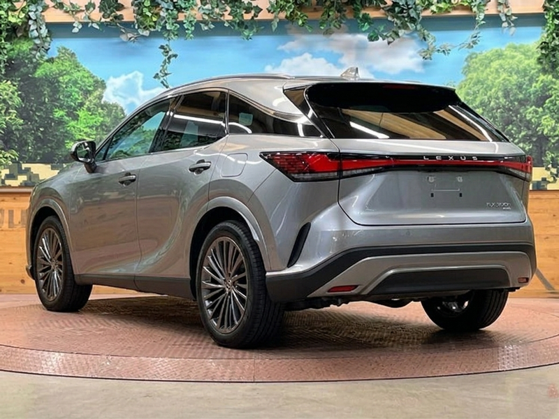 2024 Lexus RX 2,5L 2024 Cyprus