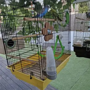 Parrots,cage,accessories, Larnaca — Aradippou - Apostolos Loukas
