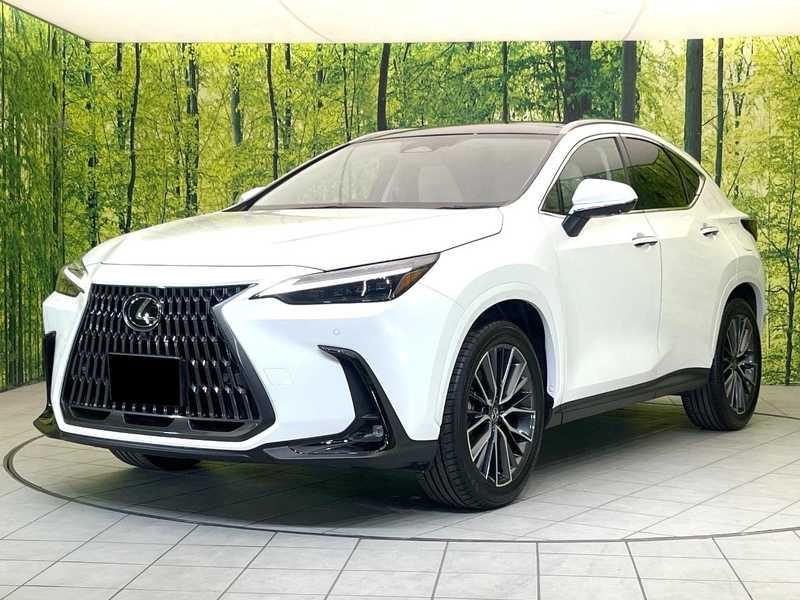 2025 Lexus NX 2,5L 2025 Cyprus