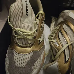 Trainers cavalli, Larnaca — Larnaka - Skala