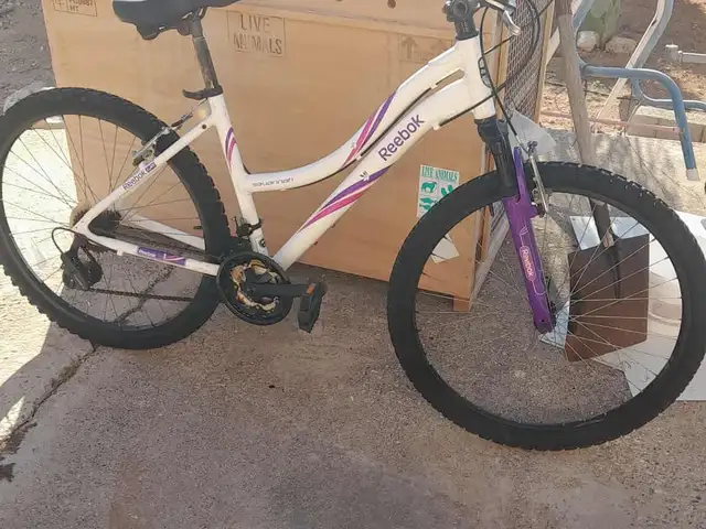 Ladies bicycle, Επαρχία Λάρνακας — Κίτι