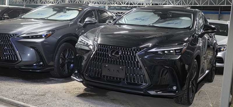 2023 Lexus NX 2,5L 2023 Cyprus