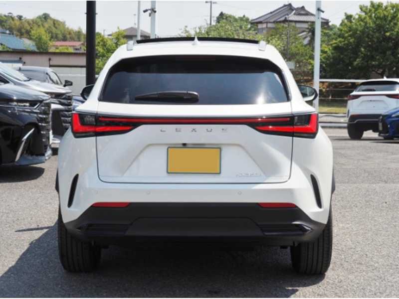 2025 Lexus NX 2,5L 2025 Cyprus