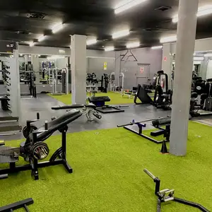 Gym painting and wall protection finishes in cyprus, Επαρχία Λευκωσίας — Καλό Χωριό Ορεινής