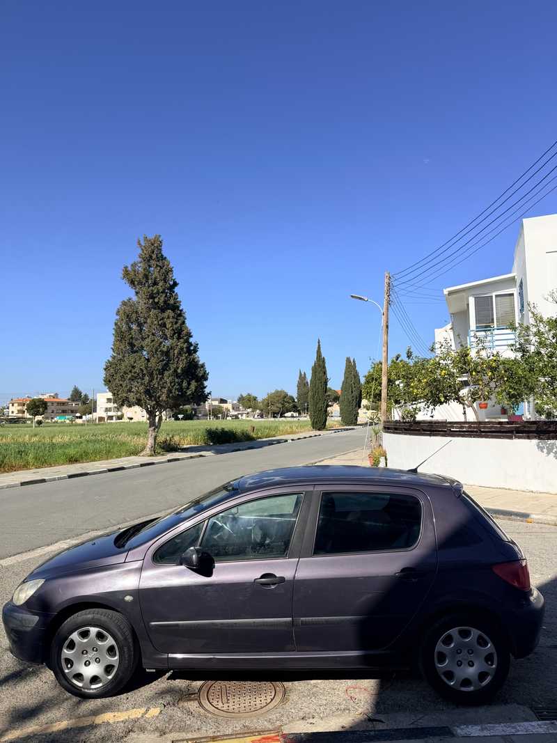 Peugeot 308 1,3L 2005