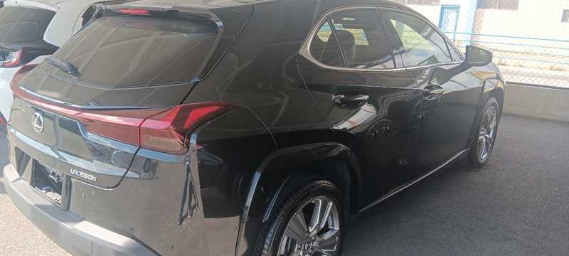 2024 Lexus UX 2,0L 2024 Cyprus
