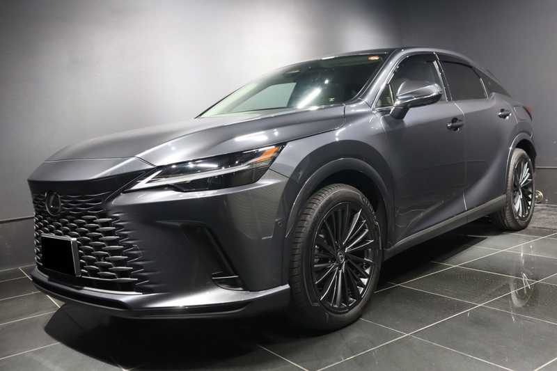 Lexus RX 2,5L 2024