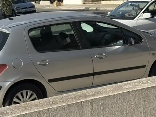 Peugeot 307