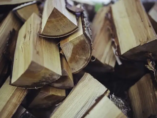 Wood, Επαρχία Λευκωσίας — Δάλι - Παναγ Ευαγγελίτρια