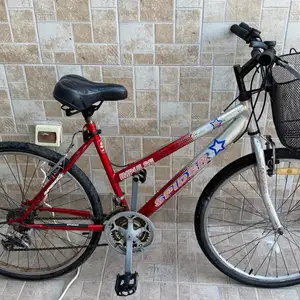 Bicycle spider, Famagusta — Agia Thekla