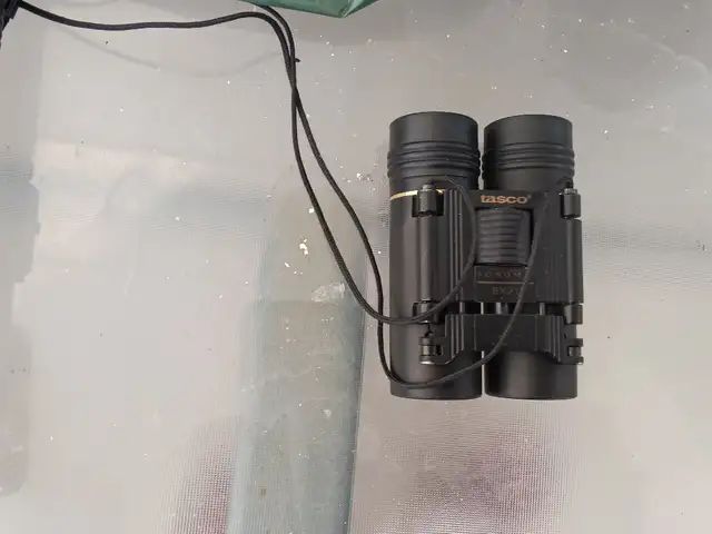 Nice binocular, Επαρχία Λάρνακας — Λάρνακα - Φοινικούδες