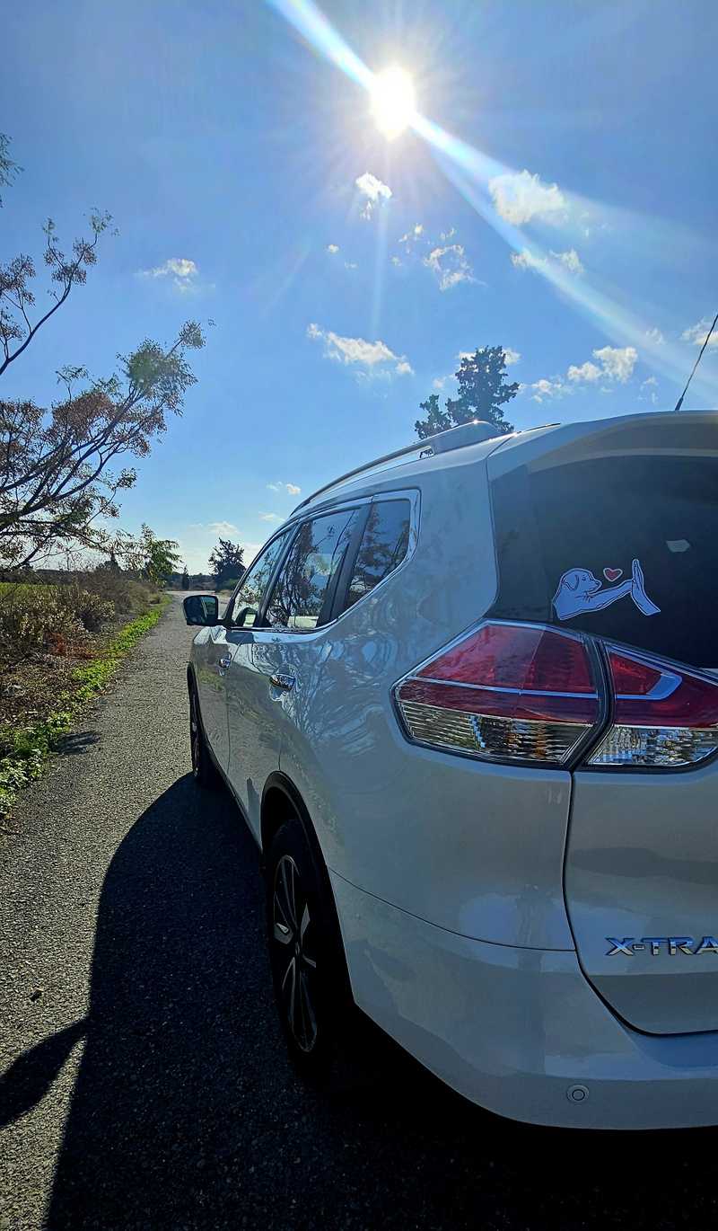 2015 Nissan X-Trail 1,6L 2015 Cyprus