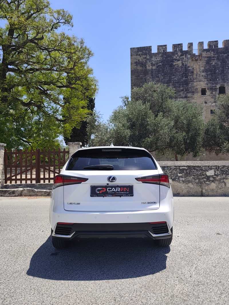 2020 Lexus NX 2,5L 2020 Cyprus