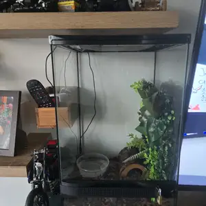 Terrarium with a lots accessories, Επαρχία Λάρνακας — Ορόκλινη